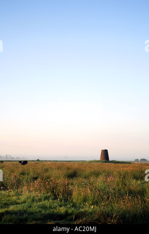 A view of the remote shell of the derelict Womack Water Drainage Mill on the Norfolk Broads at Horse Fen, Ludham, Norfolk, England, United Kingdom. Stock Photo