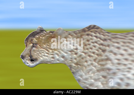 Computer manipulated graphic of a speeding cheetah Stock Photo
