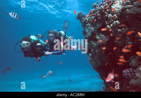 A diving instructor taking a novice on an introductory dive around a coral reef. Stock Photo