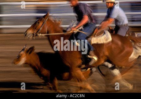 Normanton Rodeo, Queensland, Australia, Horizontal, Stock Photo