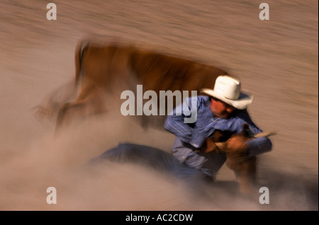 Merrijig Rodeo, Victoria, Australia, Horizontal, Stock Photo