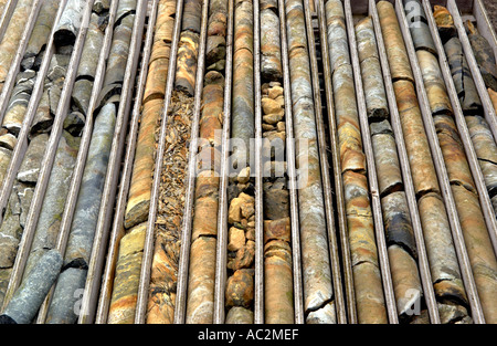 Cores from exploratory drilling at Parys Mountain copper mine which has been worked since Bronze Age on Anglesey North Wales UK Stock Photo