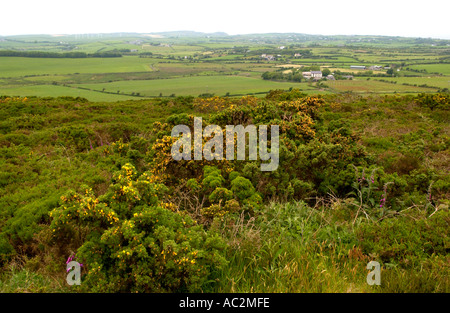 View from Parys Mountain over landscape near Amlwch Anglesey North Wales UK Stock Photo