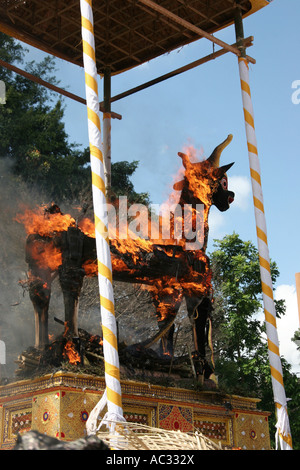 corpse burning of a prince, Indonesia, Bali, Ubud Stock Photo