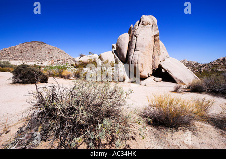 Monzogranite rock formation at Squaw Tank along Geology Tour Road, Joshua Tree National Park, California, USA (May 2007) Stock Photo