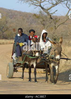 Donkey cart with passengers on rural road in south africa Stock Photo