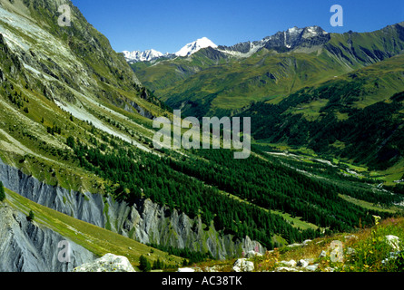 Vallée d'Aoste - a view of Mont Dolent from Saussurrea garden - Courmayeur - La Palud - Valle d'Aosta - Europe - Italy - Alps Stock Photo