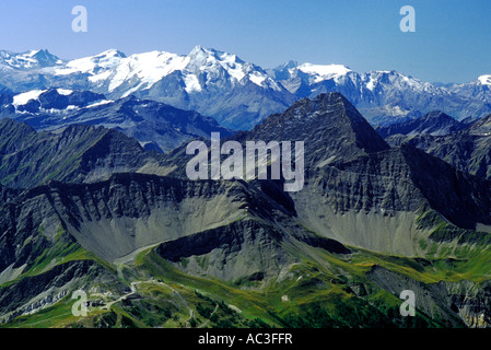 Vallée d'Aoste - Valle d'Aosta - a view of Mont Dolent from Saussurrea garden - Courmayeur - La Palud Europe - Italy - Alps Stock Photo