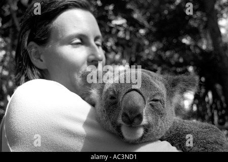 An Australian Kuala Hug Stock Photo