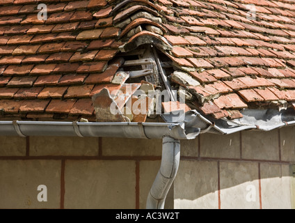 Damaged French red tile hipped roof with broken lead guttering  missing bonnet hip tiles and exposed roof timbers in saint valery sur somme france eu Stock Photo