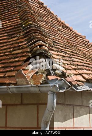 Damaged French red tile hipped roof with broken lead guttering, missing bonnet hip tiles and exposed roof timbers in northern france eu Stock Photo