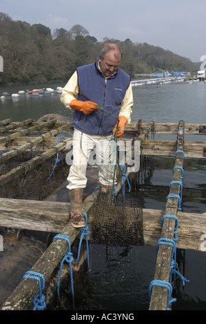 Jim Griffin holds a string of mussels growing on the biggest mussel ...