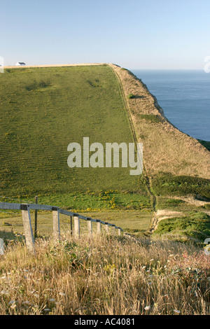 Coastal path at St Aldhelms Head Purbecks Dorset Stock Photo