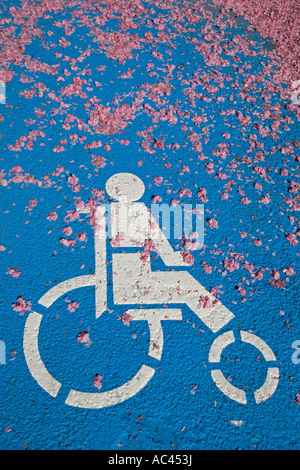 A parking place for disabled people. Emplacement de stationnement réservé aux personnes handicapées.