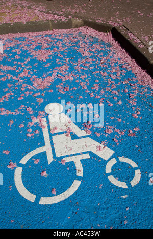 A parking place for disabled people. Emplacement de stationnement réservé aux personnes handicapées.
