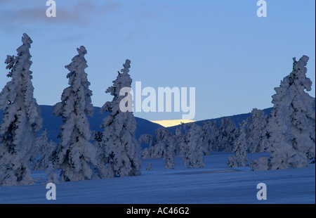 Norweigan winter landscape. Valdalsfjellet, Hedmark fylke, Norway Stock Photo