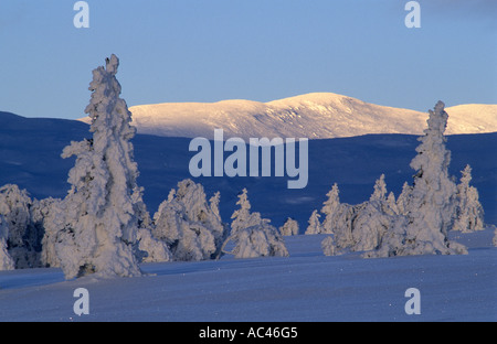 Norweigan winter landscape. Valdalsfjellet, Hedmark fylke, Norway Stock Photo