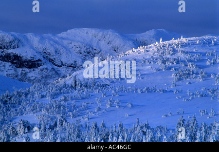 Mountain landscape of Norway. Valdalsfjellet, Hedmark fylke, Norway Stock Photo