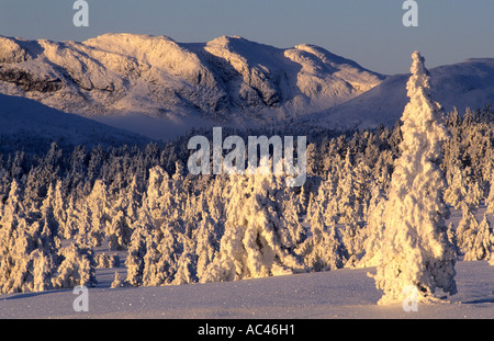 Norweigan mountain landscape. Valdalsfjellet, Hedmark fylke, Norway Stock Photo