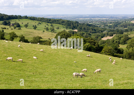 Rolling Cotswold landscape looking north to Broadway from Snowshill Gloucestershire Stock Photo