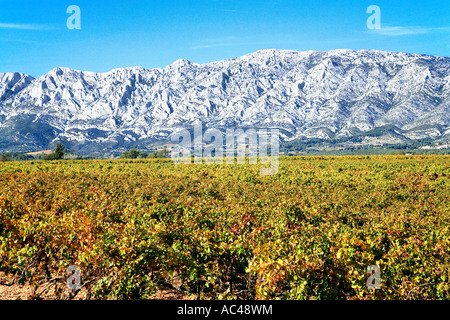 Vineyards aroud the Montagne Sainte Victoire, Provence, France. Stock Photo