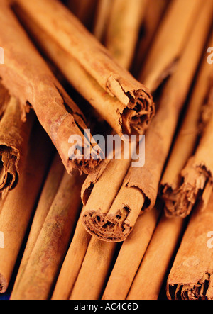 CINNAMON STICKS Stock Photo
