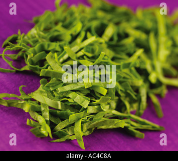 CHOPPED SPINACH Stock Photo