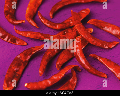 WHOLE DRIED CHILLIS Stock Photo