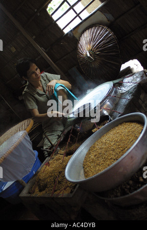 Vietnamese lady making rice cakes Vietnam Stock Photo