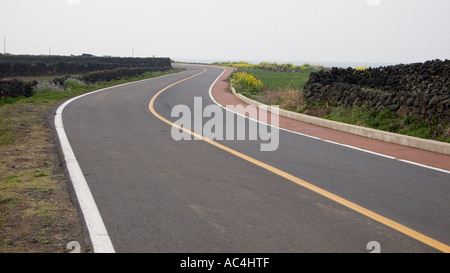 A road winds between lava rock walls on Jeju island in South Korea. Stock Photo