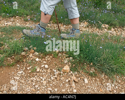 MR tracking hiking in the nature legs and feet with tracking hiking shoes on a stony way Stock Photo