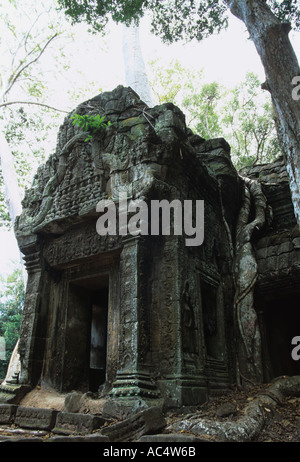 Ta Prohm temple at Angkor Wat, Siam Reap, Cambodia Stock Photo