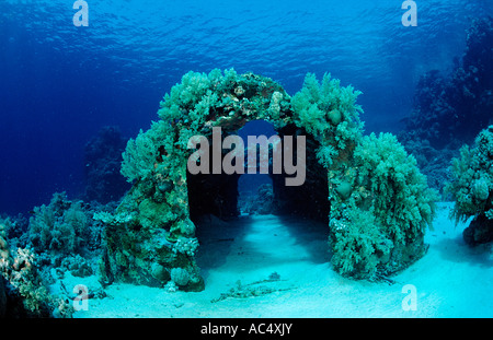 Jacque Cousteaus Precontinent 2 Sudan Africa Red Sea Shaab Rhumi Stock Photo