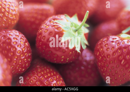 Strawberries Stock Photo
