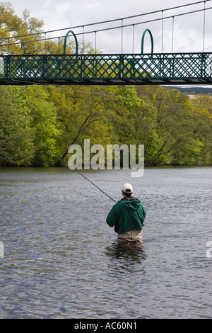 Angler wading during the Summer Salmon Fishing on the  Tay, Portnacraig, Pitlochry beats of the River Tummel  Pitlochry Hydro Scheme, Scotland, UK Stock Photo