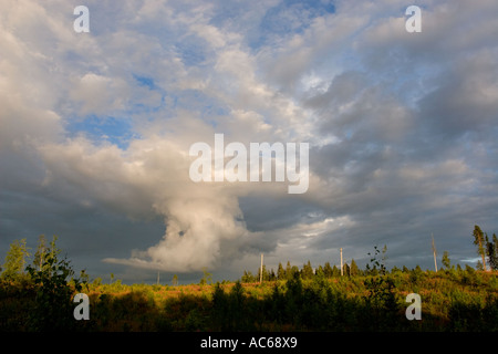 Anvil shaped thunderstorm cell forming , Finland Stock Photo