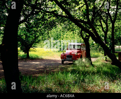 A classic red Citroen 2CV, the famous Deux Cheveux, a classic French car in a woodland rural setting in Provence, southern France. Rustic green scene Stock Photo