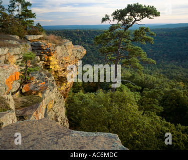Petit Jean State Park, AR: Late light on lichen covered sandstone cliff of Red Bluff above the forest of Cedar Creek Canyon Stock Photo