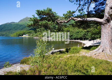 LOCH LOMOND IN SUMMER Stock Photo