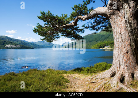 LOCH LOMOND IN SUMMER Stock Photo