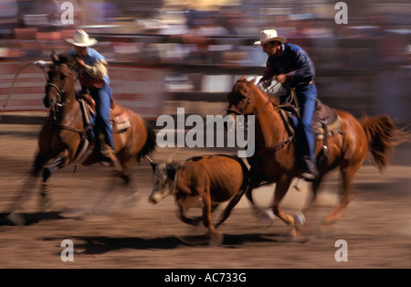 Merrijig Rodeo, Victoria, Australia, Horizontal, Stock Photo