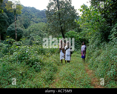 TRIBALS OF WAYANAD Stock Photo - Alamy