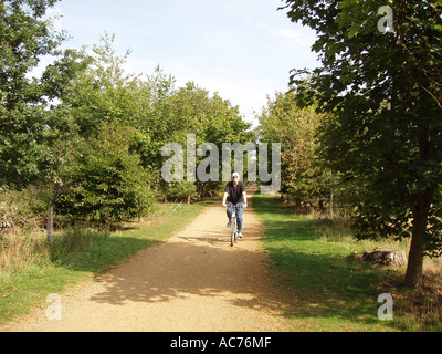 man cycling on route 51 Stock Photo