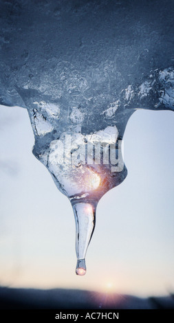 Icicle melting Stock Photo