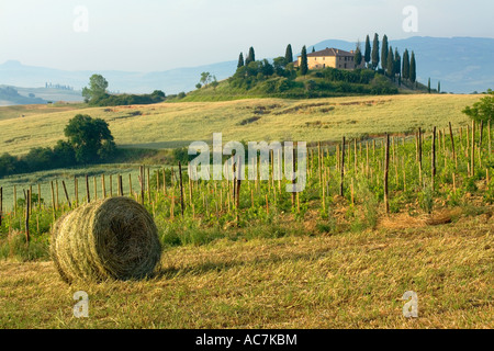 Belvedere farmhouse near San Quirico d Orcia in Tuscany Italy Stock Photo