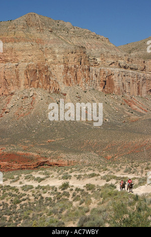 Father and daughter on horseback in Havasu Canyon Stock Photo