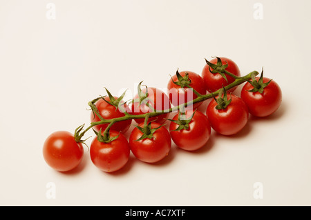 Cherry tomatoes on the vine Stock Photo
