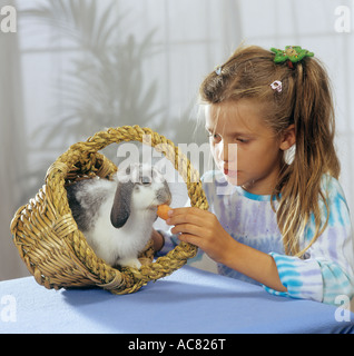 girl feeding lop-eared dwarf rabbit Stock Photo