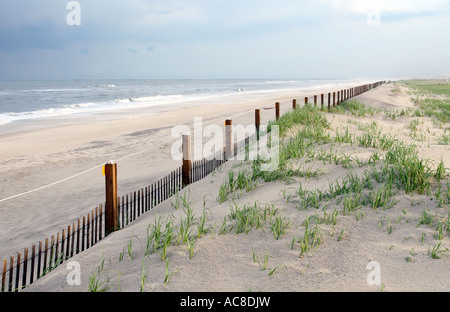 A fence protecting sand dunes on the beach at Assateague Island National Seashore, Maryland Stock Photo