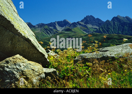 Vallée d'Aoste - view of Grande Rochere from Saussurrea garden - Courmayeur - La Palud - Valle d'Aosta - Europe - Italy - Alps Stock Photo